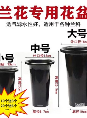 兰花专用盆加厚黑色塑料盆兰花种植盆兰草盆透气沥水无侧孔兰花盆