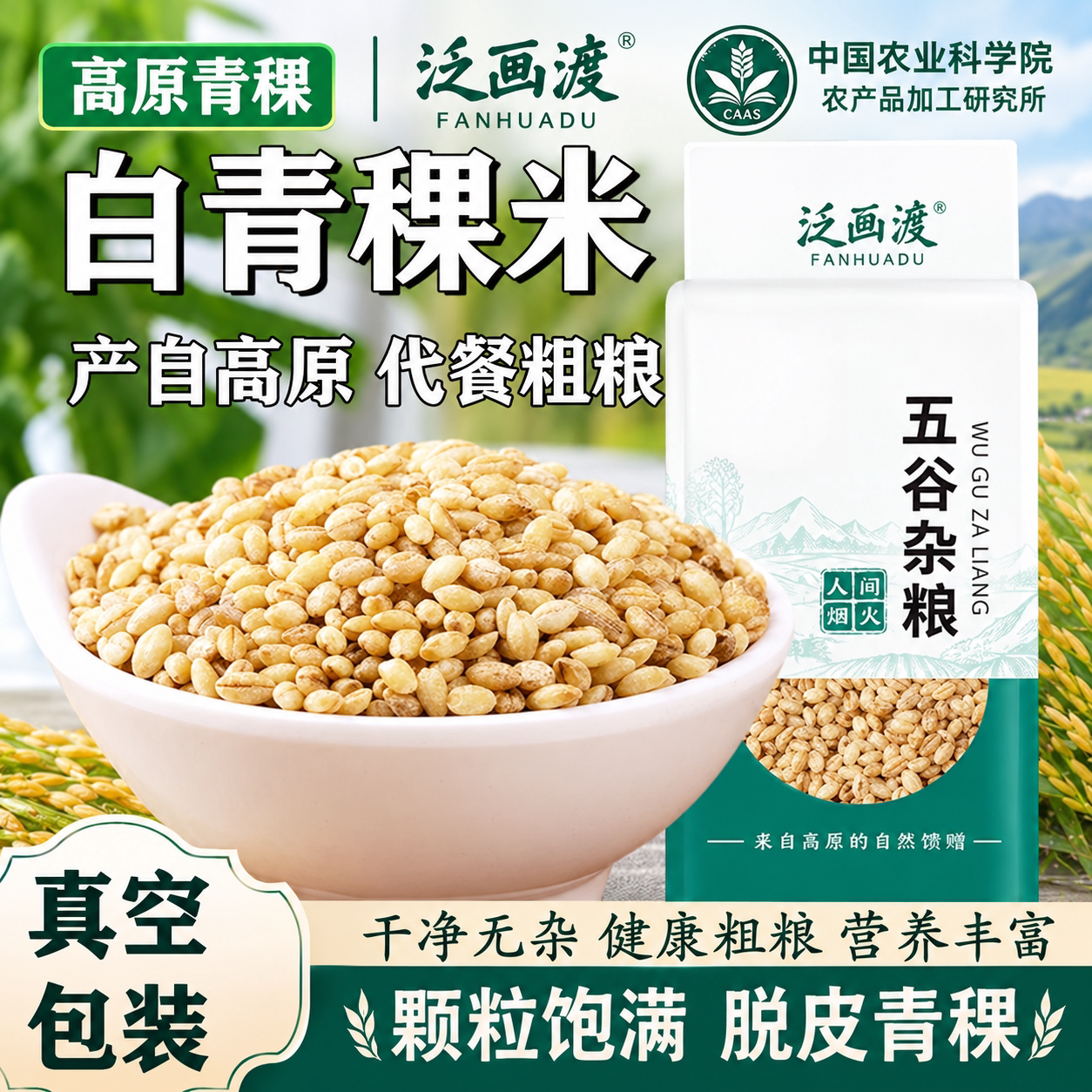 农科院丨山东特产白青稞米谷物优质五谷杂粮大麦仁粗粮新米饭主食
