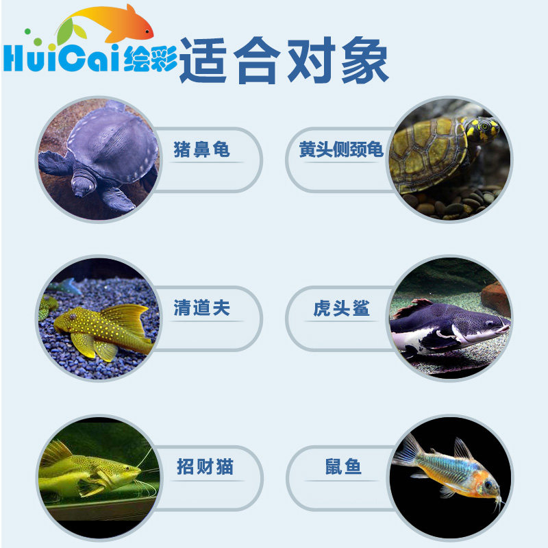 绘彩猪鼻龟饲料底栖鱼食下沉清道夫招财猫虎头鲨黄头龟沉底专用粮