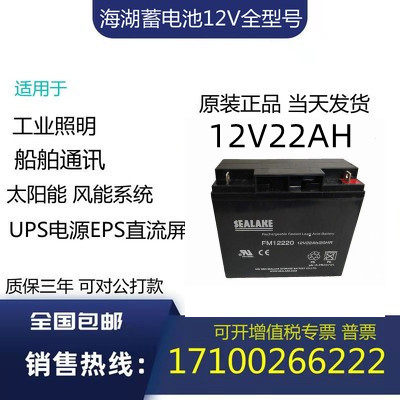 全新海湖SEALAKE蓄电池 FM12220铅酸 12V22AH/20HR免维护现货包邮