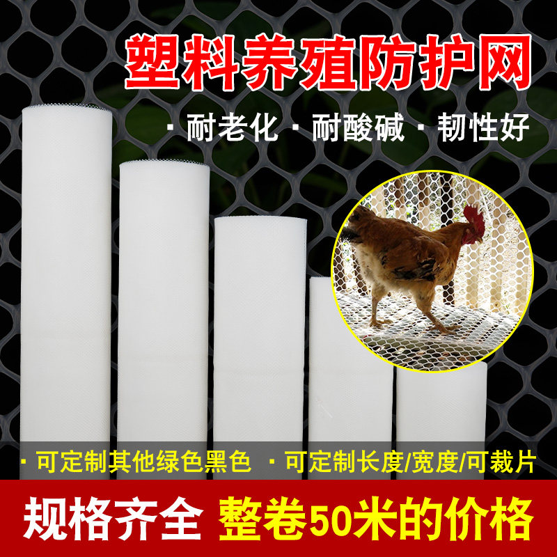 养殖网塑料网平网育雏苗床网养鸡养鸭养鹅漏粪网脚垫网防护网阳台