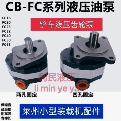德国进口液压泵齿轮泵油站液压油泵小铲车泵CB-FC202532405063液