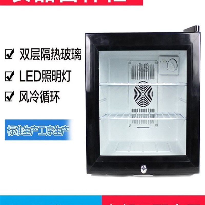 幼儿园食品留样柜迷你节能小冰箱小型家用保鲜柜单冷藏