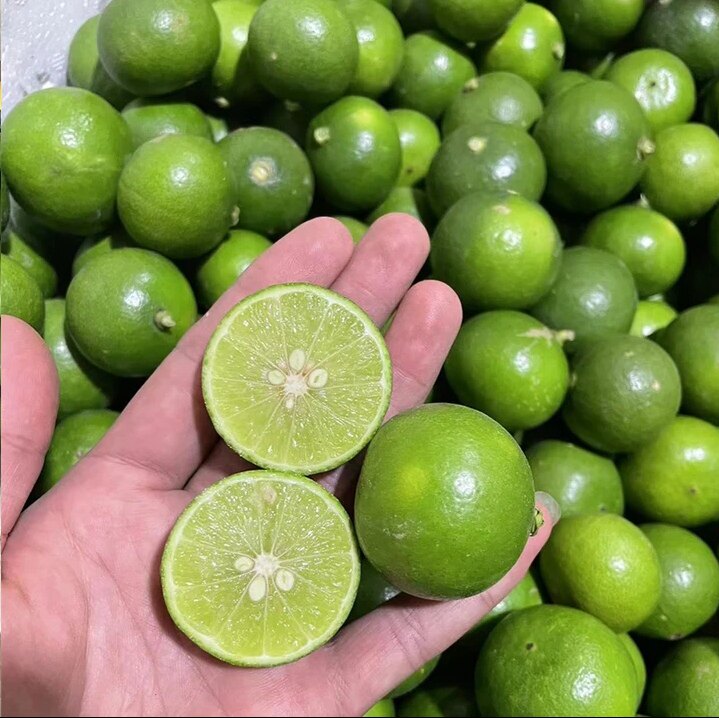 云南芒市皮薄多汁酸爽青柠檬