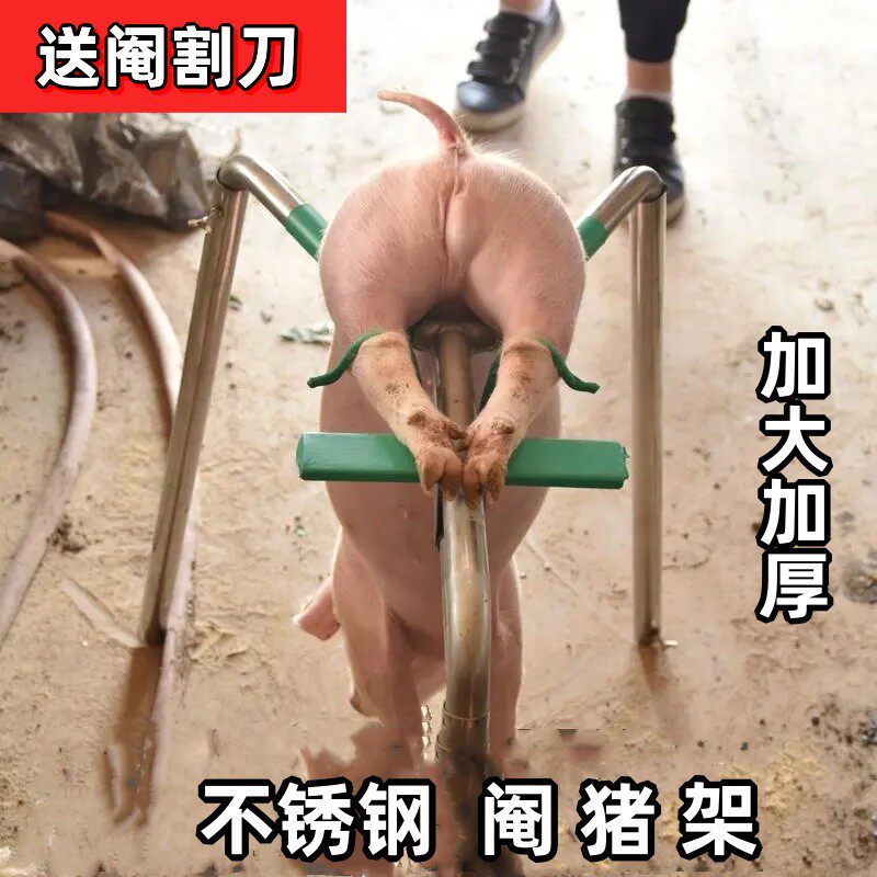 不锈钢阉猪架小猪阉割器加厚仔猪用阉割架加粗敲猪架养阉猪刀工具