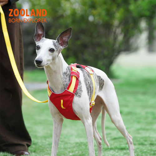 ZOOLAND狗狗胸背牵引绳工字遛狗小中大型犬防爆冲挣脱宠物牵狗绳