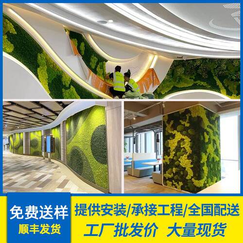 仿真苔藓植物墙景观造景仿真绿植假苔藓墙面装饰永生苔藓工厂