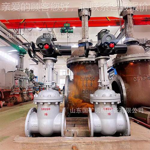 温DZW30I-1蒸汽电N动双闸兰板阀D250电动铸钢法截止阀  双法兰电