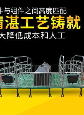 母猪产床保育两用落地厂床单体分娩床双体猪床欧式复合板养猪设备