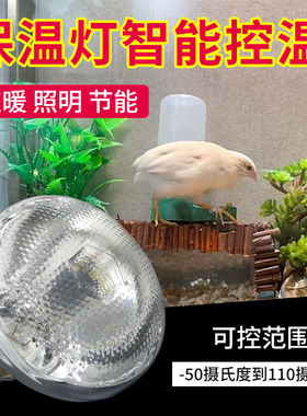 保温灯自动控温养殖场专用芦丁鸡取暖灯泡宠物小鸡保暖鹦鹉加热灯
