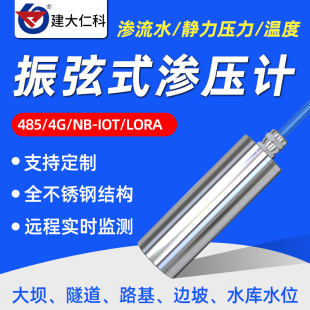 不锈钢振弦式渗压计 温度孔隙水位静力压力表渗流自动监测传感器