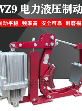 YWZ9-300/E50电力液压制动器  200 250 315 400 500塔吊刹车抱闸