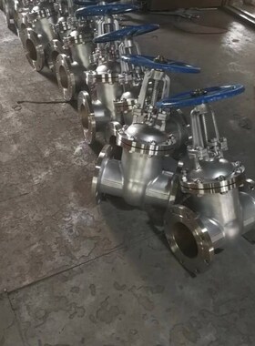 Z41W-16P 316L 不锈钢法兰闸阀 不锈钢闸阀 法兰闸阀DN15~DN300