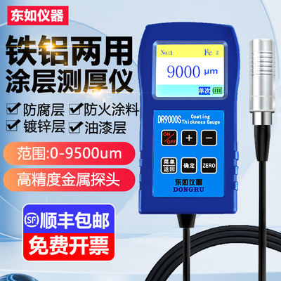 东如涂层测厚仪DR120钢结构防火防腐涂料5000漆膜仪车油漆DR9000