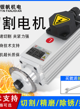 1kw小型装夹锯片高速电机主轴750w变频电机磨削抛光倒角正品包邮