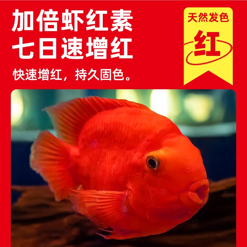 鹦鹉鱼饲料血鹦鹉鱼专用鱼饲料红鹦鹉鱼食热带鱼发财鱼鹦鹉鱼粮