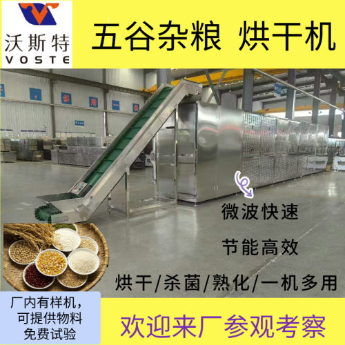 源头工厂杂粮熟化设备微波快速烘干熟化杀菌