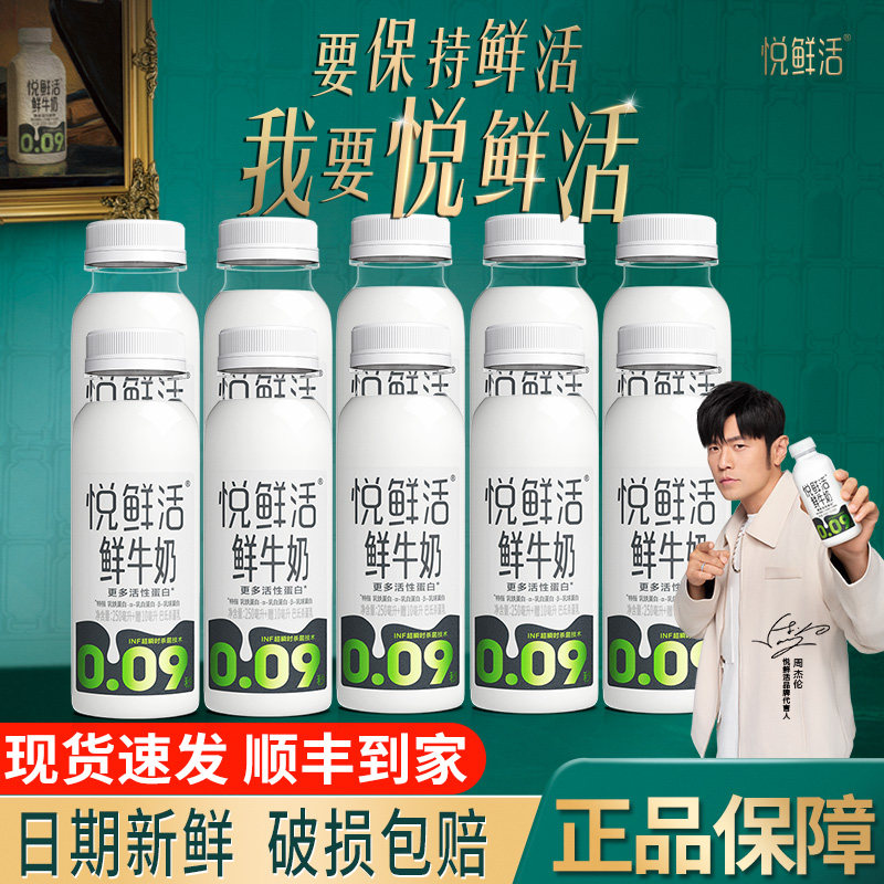 君乐宝悦鲜活牛奶260ml*10瓶学生营养早餐奶低温奶【周杰伦代言】
