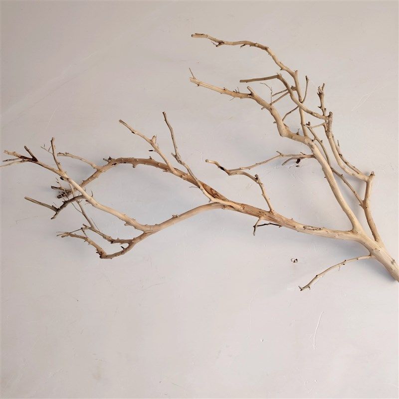 吊灯干枝分枝干树枝装饰树干枯枝室内天花板挂灯插花X挂件舞台摆