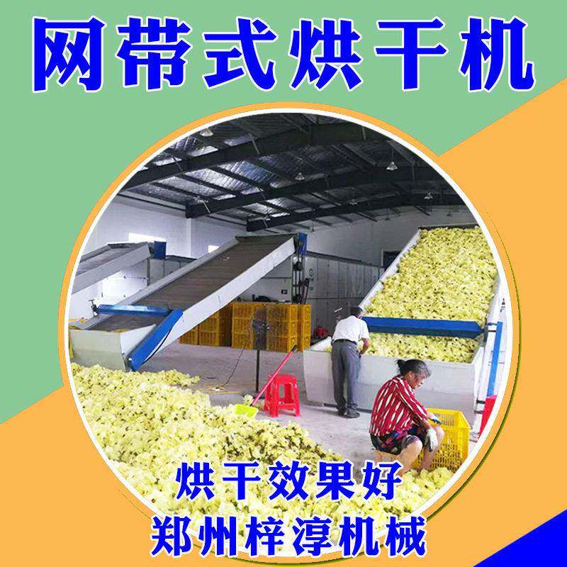 自动网带式烘干机烘干花生狗粮污泥脱水蔬菜八角茶叶链板式烘干机