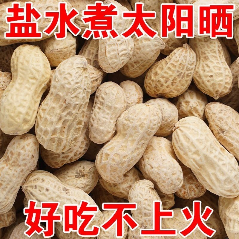 盐爆花生米带皮烘烤炒熟咸香盐焗咸干酥脆东北特产零食解馋下酒菜