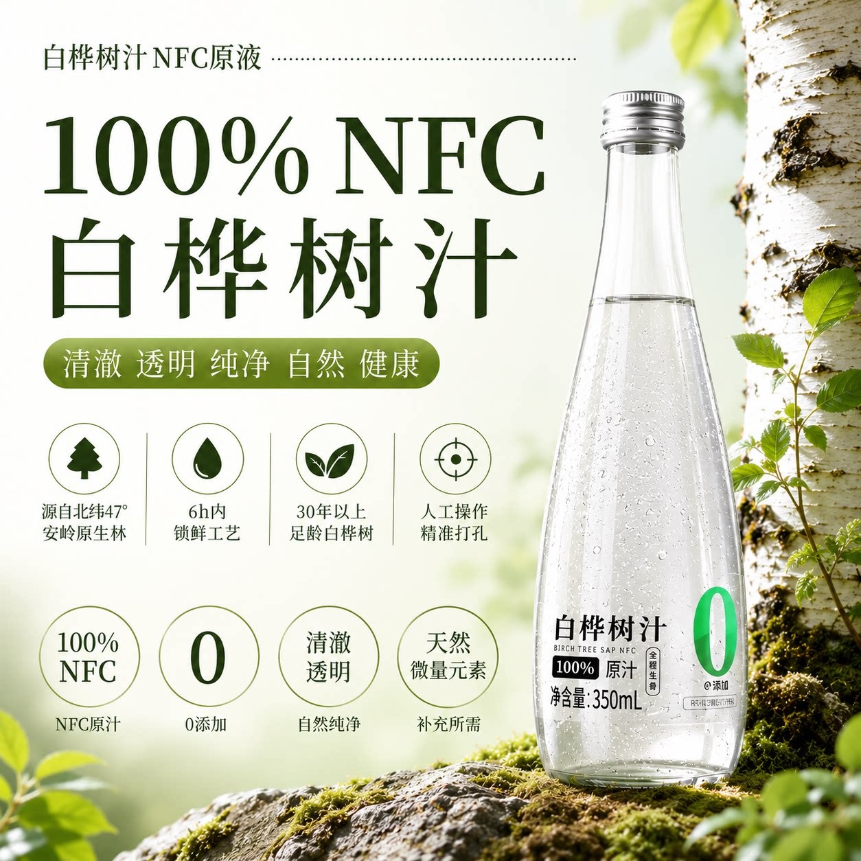 特级有机长白山天然白桦树汁原液官方旗舰店nfc白桦汁饮料0添加