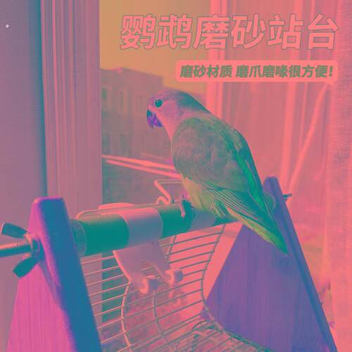 鹦鹉桌面架子鸟站架落地玄风鹦鹉专用站架训练站架磨爪棒磨砂站台