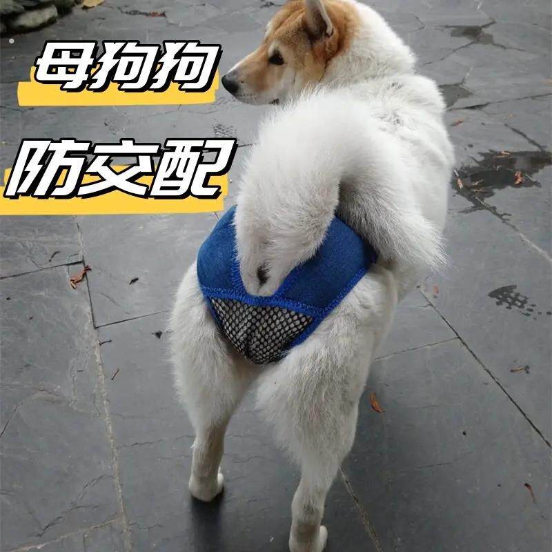 母狗防交配神器狗狗生理裤母狗狗宠物生理期安全裤发情小型犬防