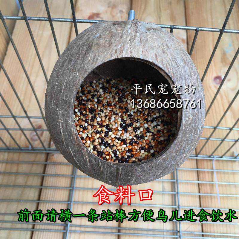 鸟用品 鸟笼防撒防溅食盒内挂 鹦鹉 防撒食槽 天然鸟食杯八哥食罐