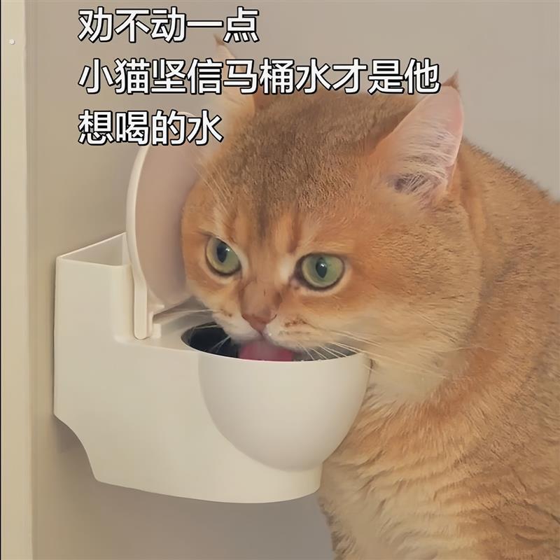 猫水碗增高马桶饮水机防打翻悬挂式喝水保护脊椎食盆猫碗不锈钢