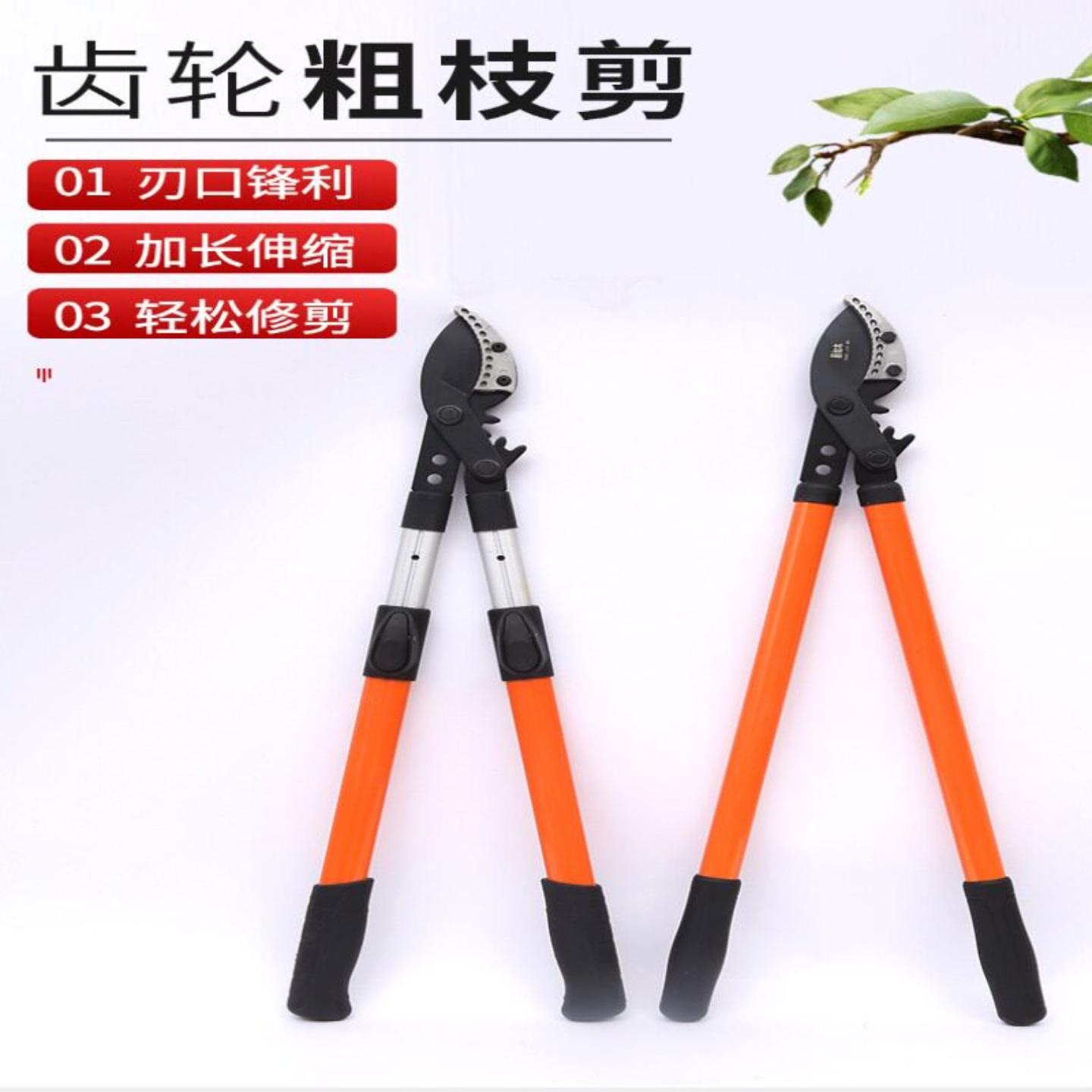 修剪树枝剪刀园艺粗枝果树林大力