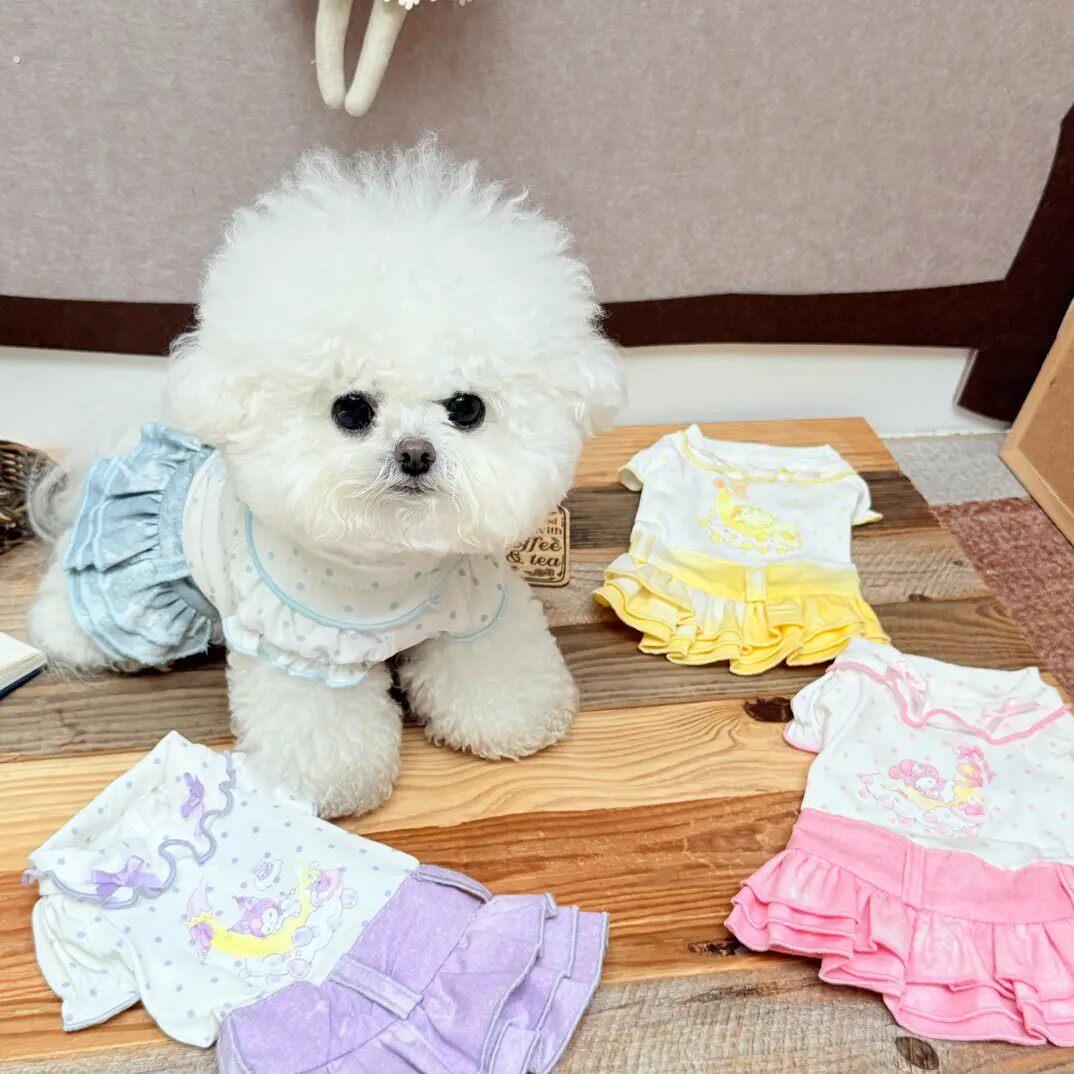 宠物衣服春日彩虹糖洋装