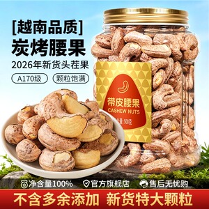 尚恰越南炭烤带皮特大腰果新货