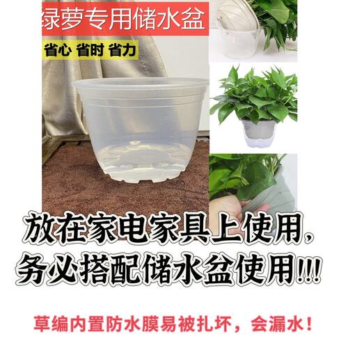 草编蝴蝶兰花盆客厅装饰摆件绿箩花盆仿真纯花手工编织花盆编制