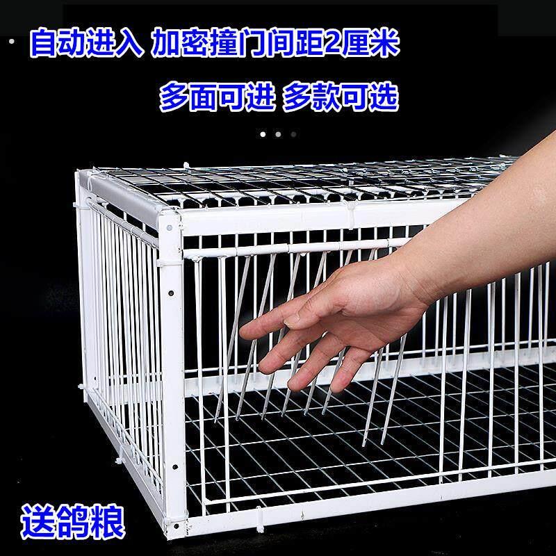 天落笼收鸽笼活络门撞门笼翻转笼信鸽回收鸽笼家用自动收鸽子神器