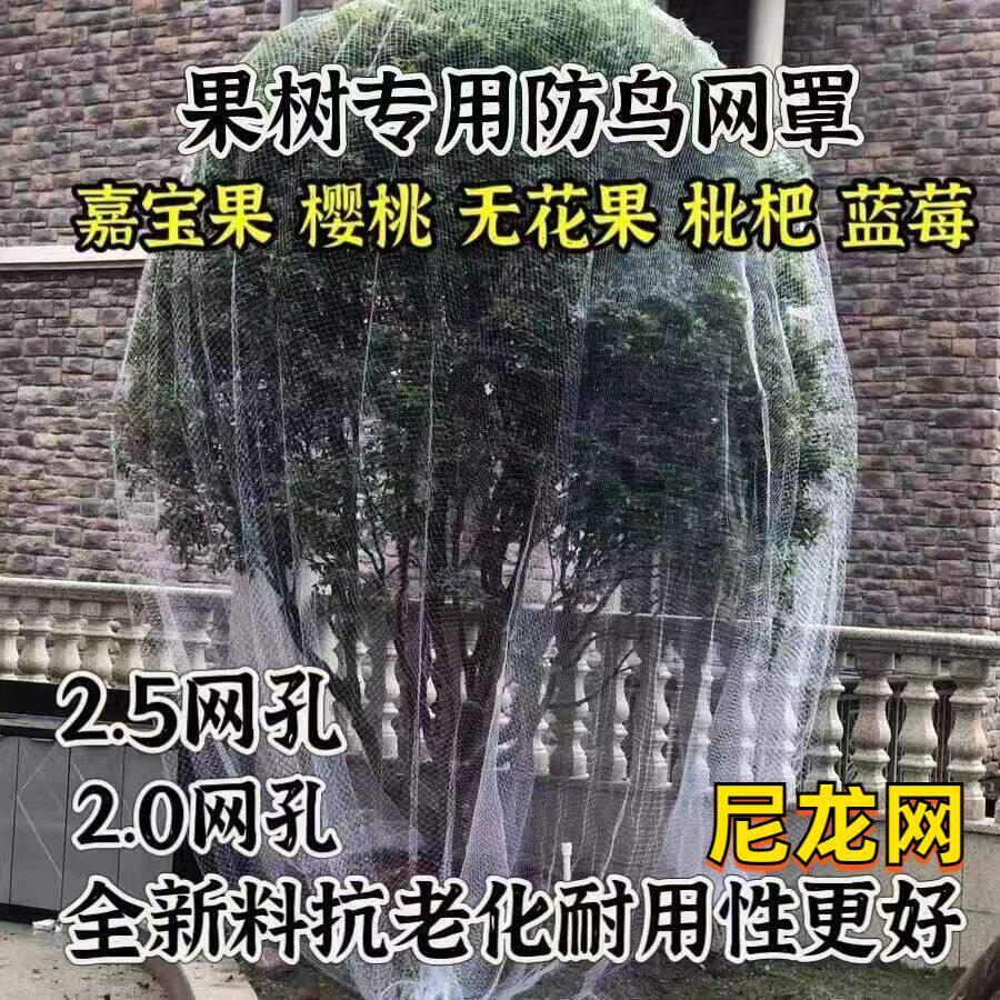 鸟防护网罩尼龙网果园防鸟樱高级树防护葡萄天网单棵防护尼龙网