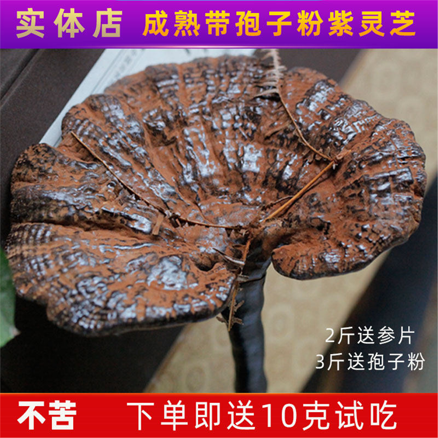 灵芝野生正宗云南深山整朵