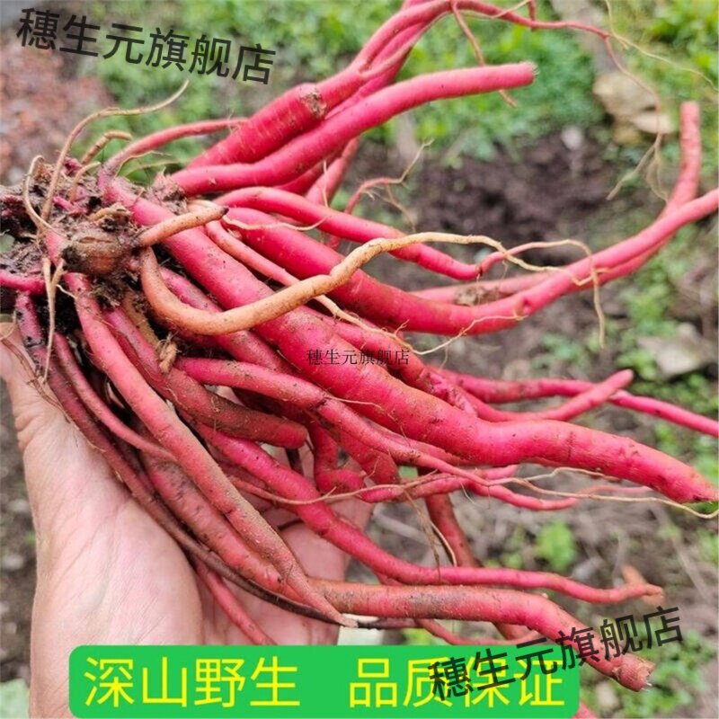 贵州野生新鲜红牛膝土克材