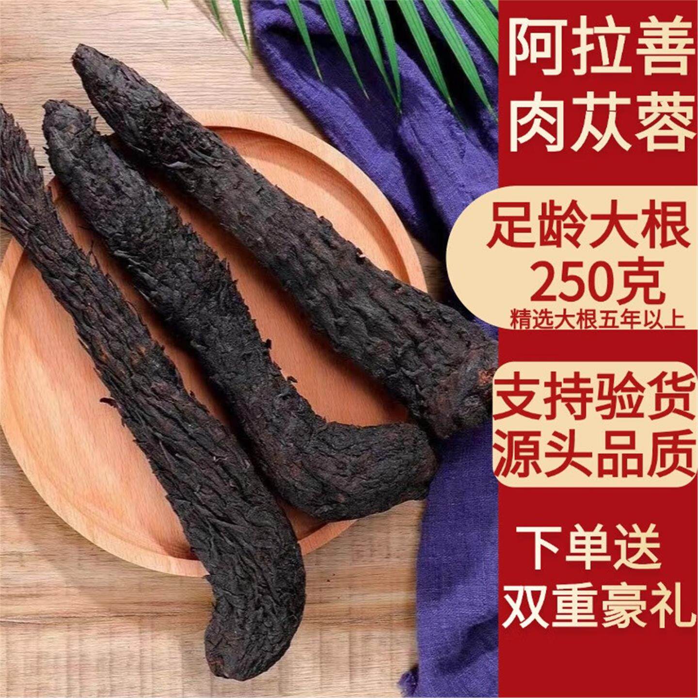 肉苁蓉金锁阳羊藿泡酒养生料
