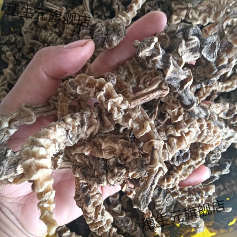 云南腾冲野生虫草参泡酒料