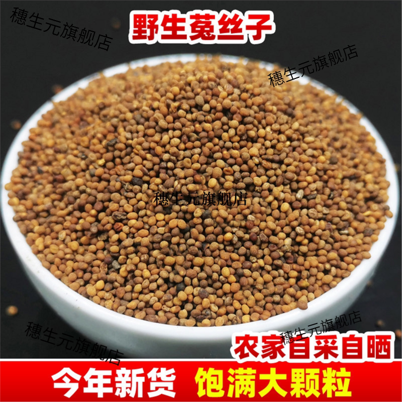 正宗云南野生菟丝子中草药