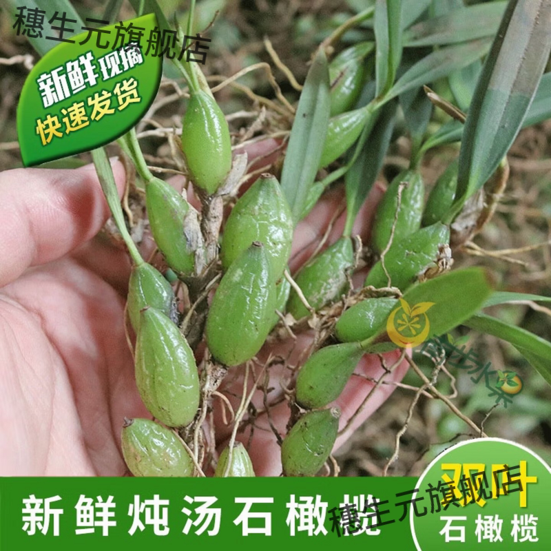新鲜大号双叶石橄榄500g炖汤