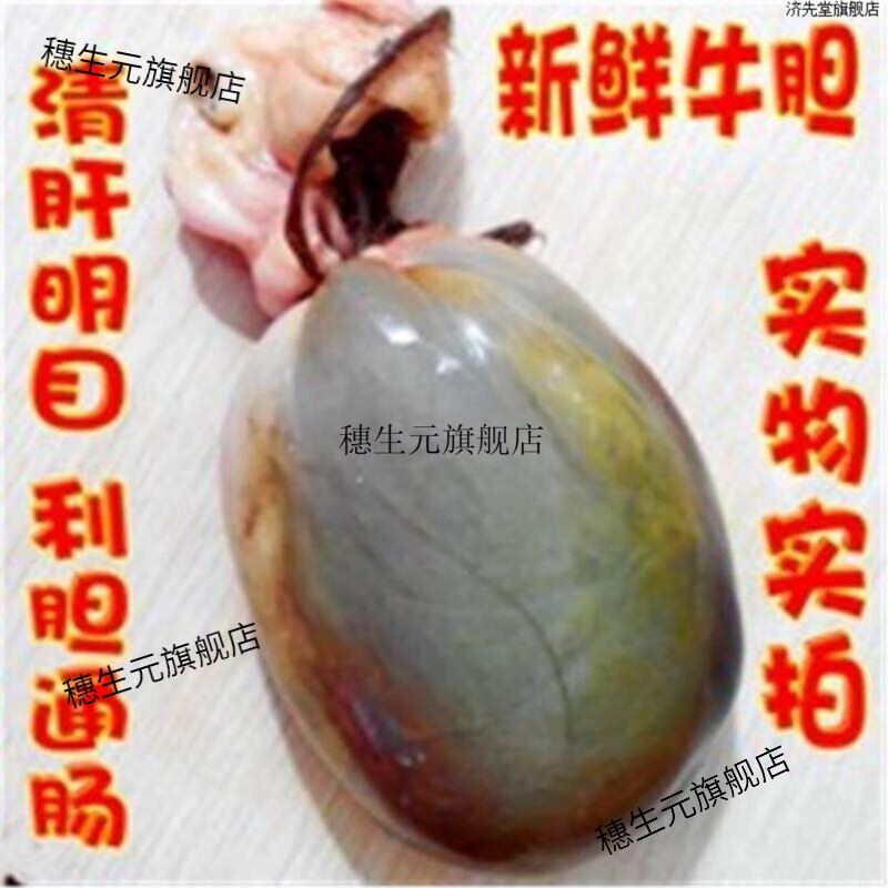水牛胆黄牛胆乡里喂养新鲜黄牛胆水牛苦胆新鲜黄牛胆正宗水牛胆干