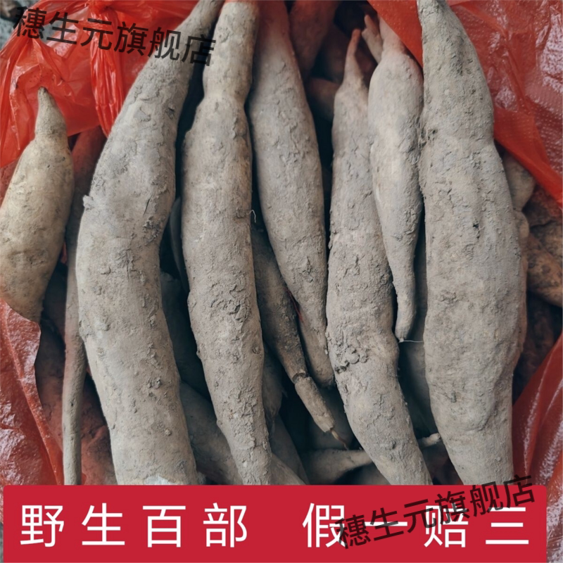贵州深山材百部草条根新