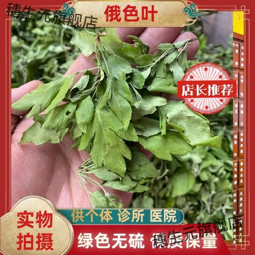 四川甘孜俄色叶藏药天然绿色