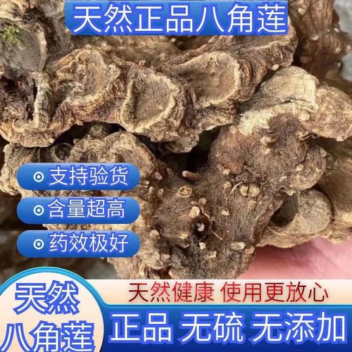 八角连八角鬼臼中药材正品批发