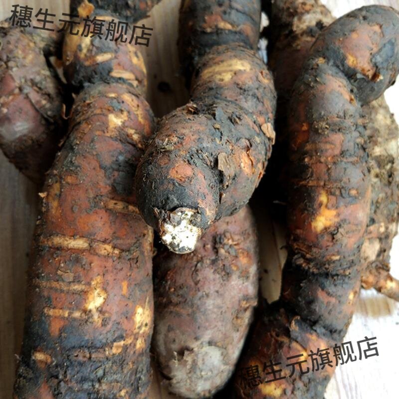 贵州野生新鲜首乌250克