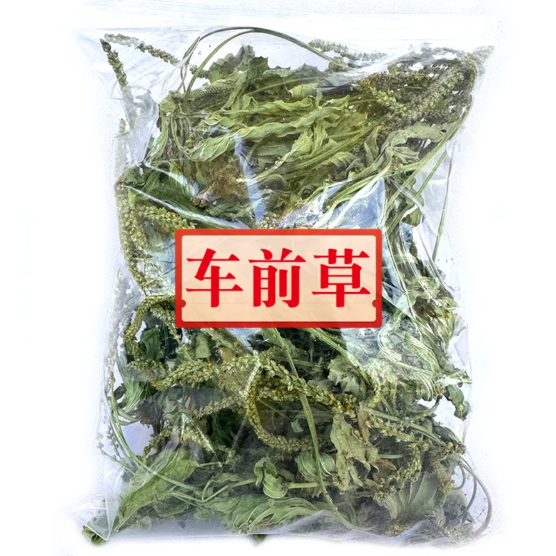 贵州材车前草新货无硫鲜晒