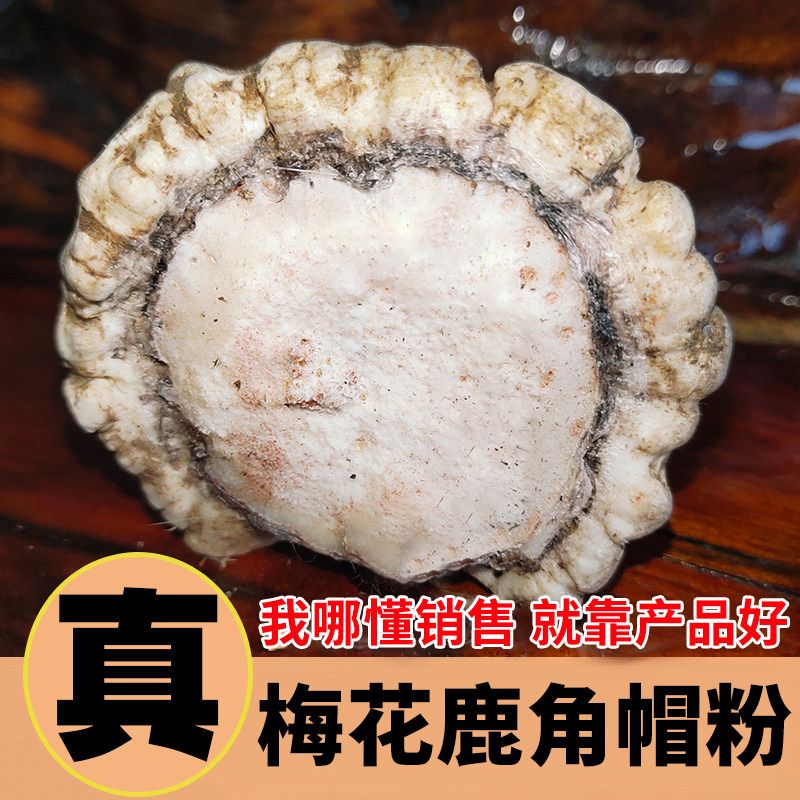 双阳梅花鹿帽粉鹿角脱盘
