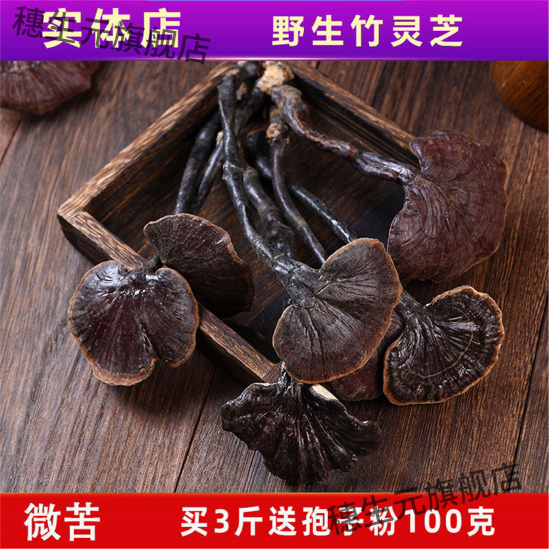 云南深山采摘野生竹灵芝整